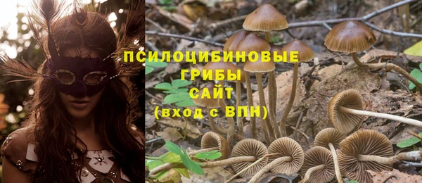PSILOCYBIN Абинск