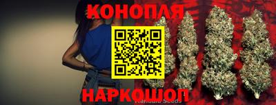 прущие грибы Пугачёв