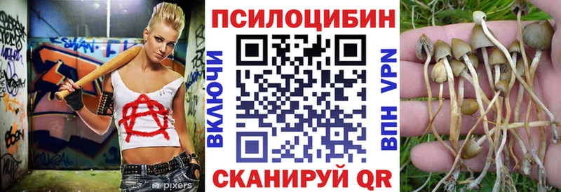 Псилоцибиновые грибы Psilocybine cubensis  Шали 