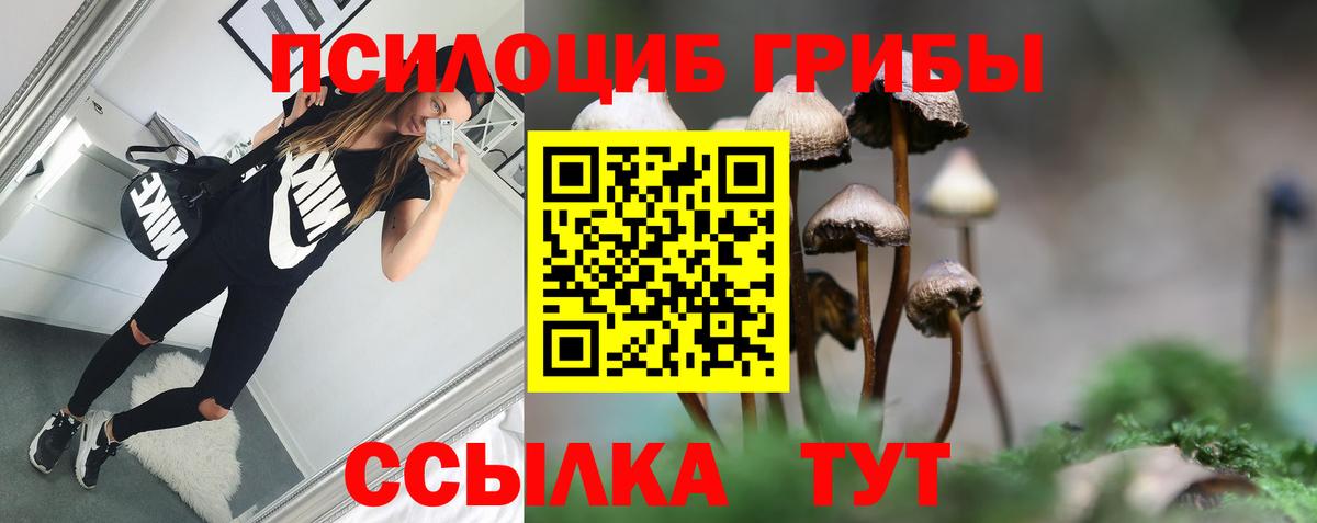 Галлюциногенные грибы Cubensis Шали