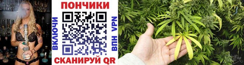 продажа наркотиков  Шали  Каннабис гибрид 